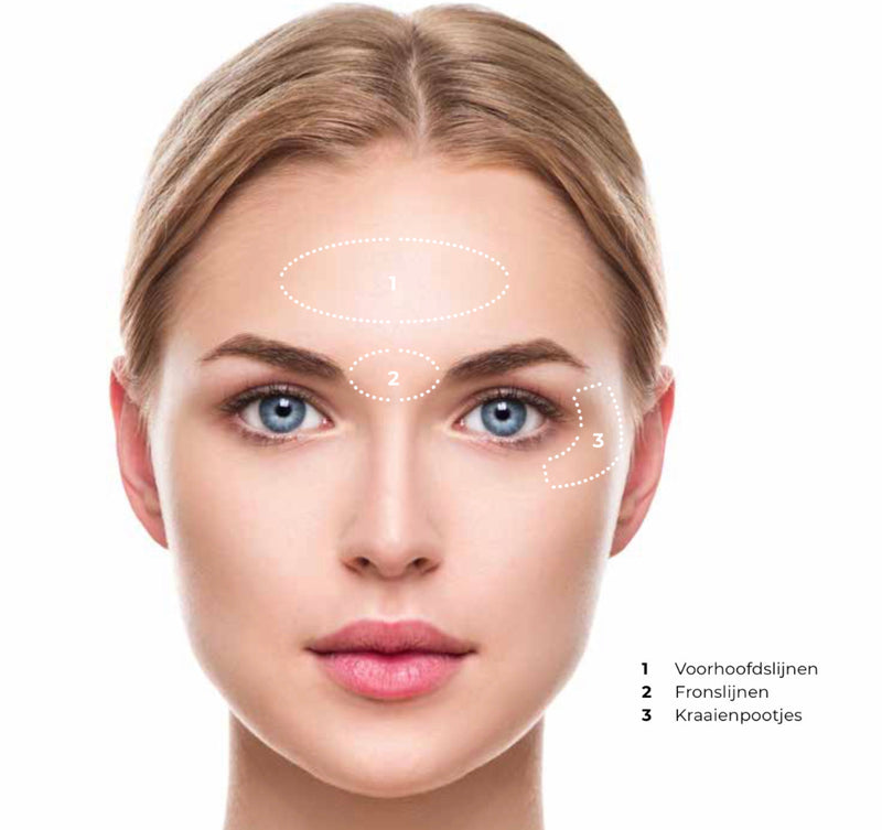 NEW | The Max Wrinkle Smoother